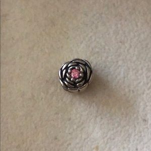 Pandora charm